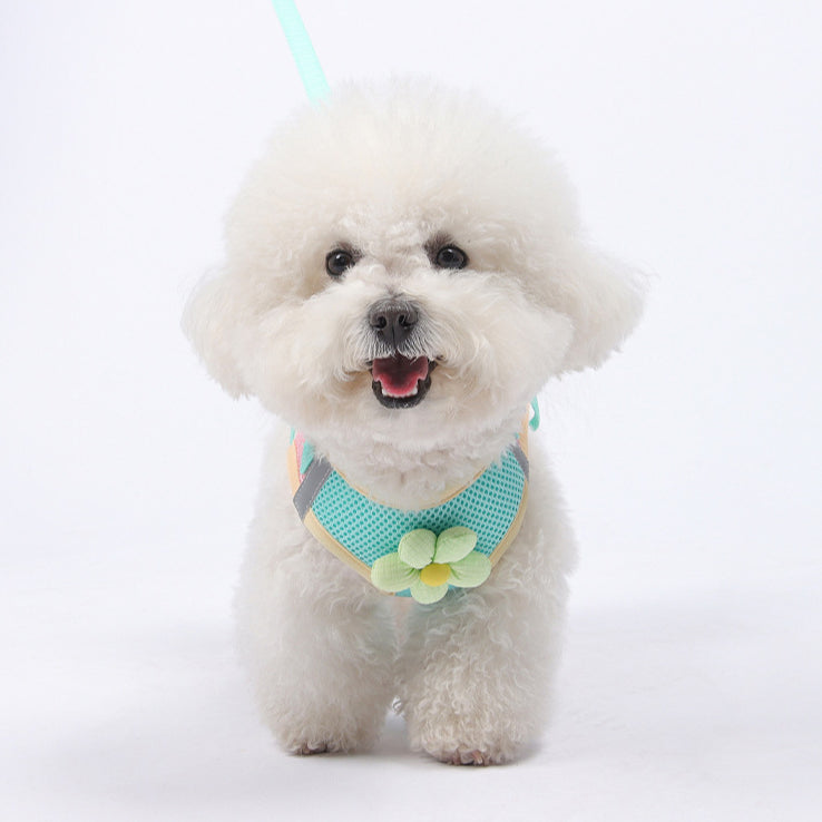 Breathable Flower Decor Dog Harness&Leash