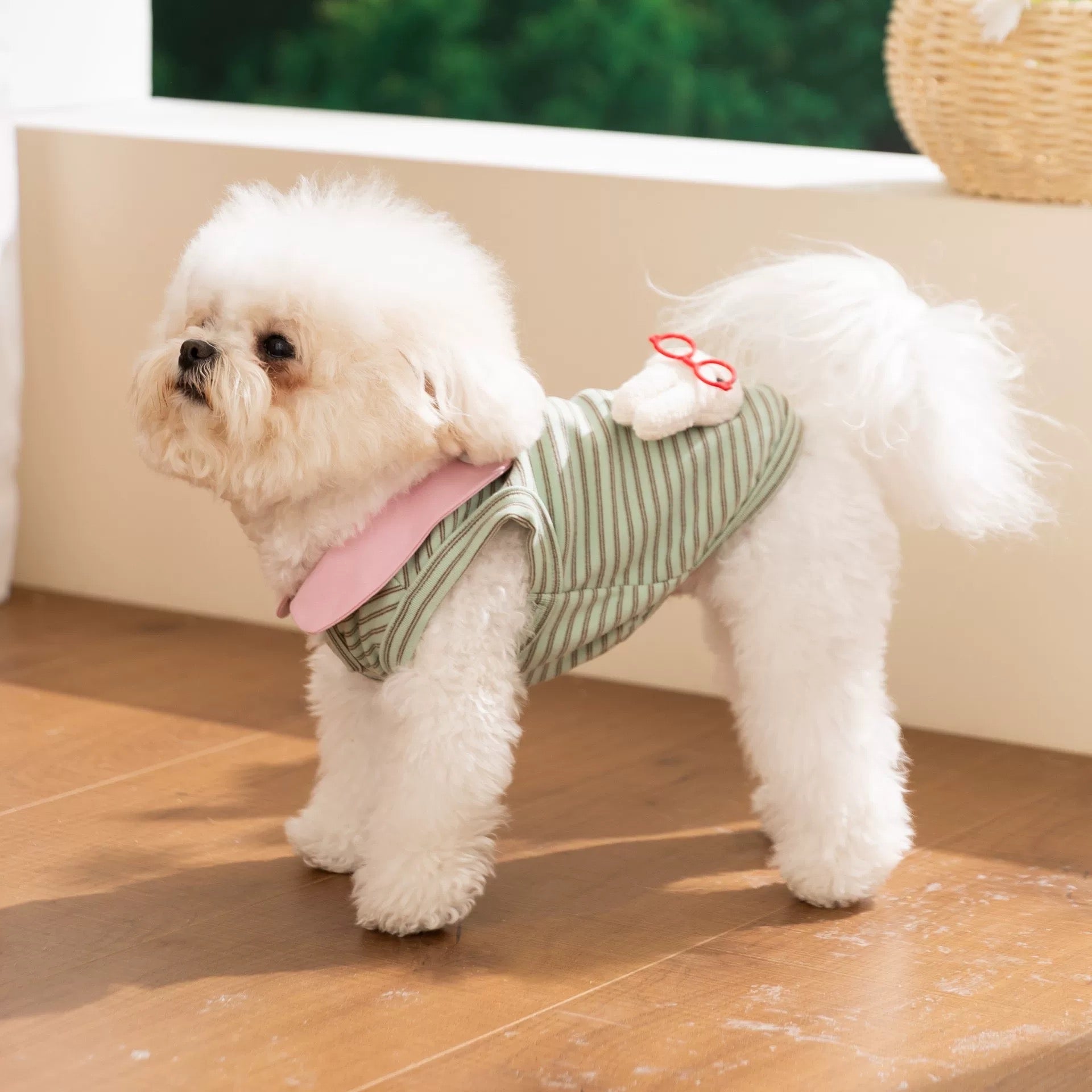 Toy Decor Striped Collar Dog Cat Vest