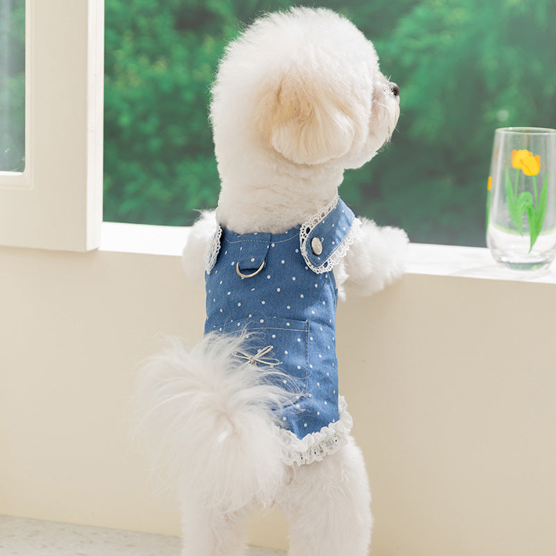 Polka Dot Lace Design Denim Dog Cat Dress
