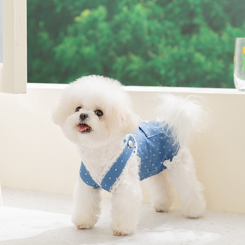 Polka Dot Lace Design Denim Dog Cat Dress
