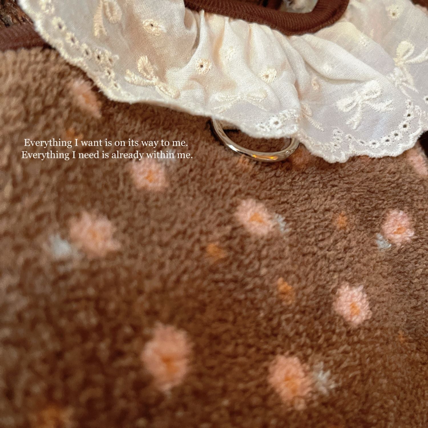 Sweet Furry Lace Collar Floral Dog Cat Vest
