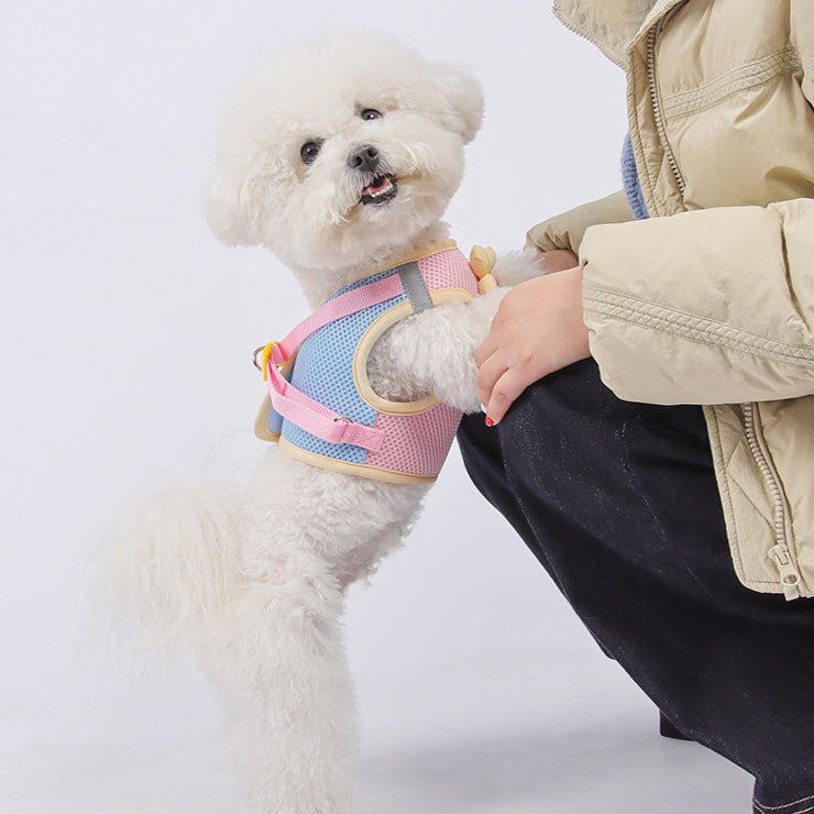Breathable Flower Decor Dog Harness&Leash