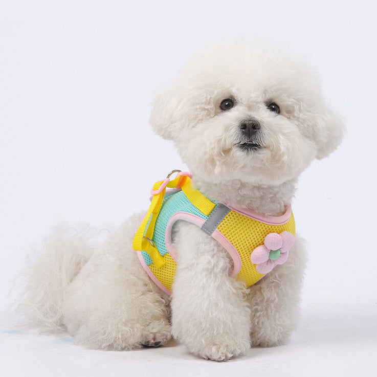Breathable Flower Decor Dog Harness&Leash